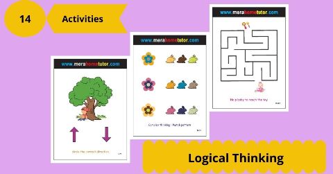 Logical Thinking Activity Flash Cards