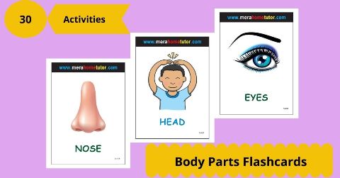 Body Parts Activity Flash Cards 