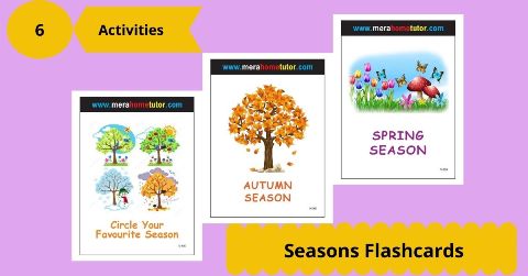 Seasons Flashcards Activity Flash Cards